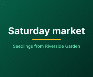 Banner animasi berukuran 300 kali 250 berwarna hijau tua: Pasar Sabtu, Bibit dari Riverside Garden; lalu Segar minggu ini, dengan Bayam, Tomat, dan Labu butternut yang muncul satu per satu; lalu pukul 9 sampai 12, River Road, semua orang dipersilakan datang, masing-masing memudar ke yang berikutnya